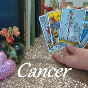 Cancer February 2024 ❤💲 HOT PURSUIT! They'll Chase You While You Chase Your Dreams! LOVE & CAREER