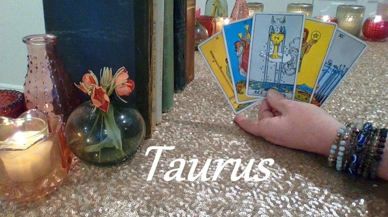 Taurus Mid February 2024 ♉ THE FEELING IS MUTUAL! Don't Let Your Fear Of Rejection Stop You!