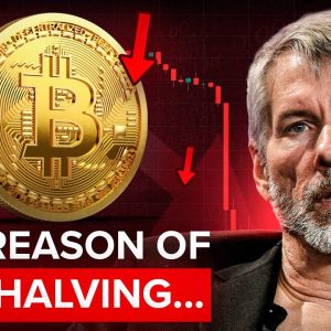 LIVE. Michael Saylor: Bitcoin ETF and halving this year will lead to BTC falling to $9000!