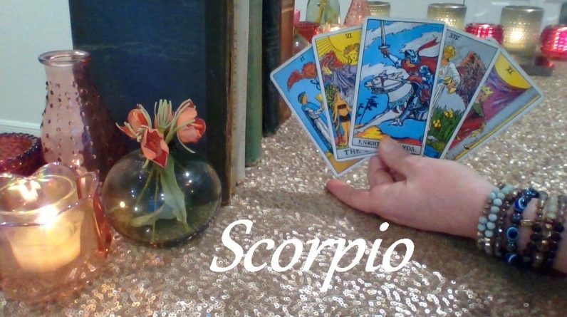 Scorpio ❤💋💔 Prepare For Some Wild Twists & Turns! LOVE, LUST OR LOSS February 18-24 #Tarot 1 Scorpio ❤💋💔 Prepare For Some Wild Twists & Turns! LOVE, LUST OR LOSS February 18-24 #Tarot