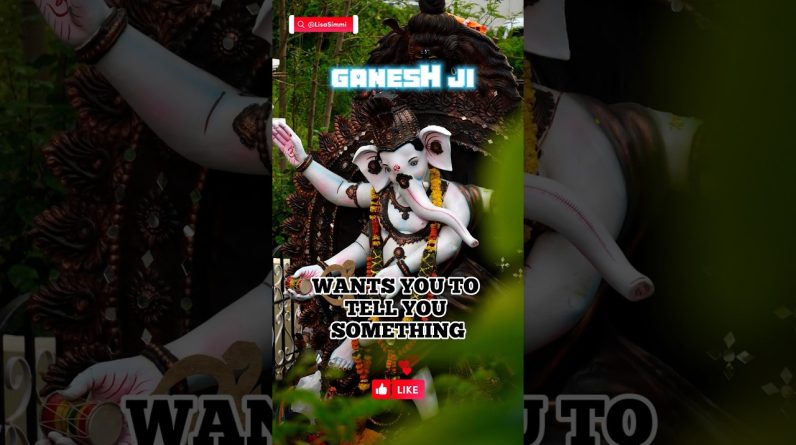 Lord Ganesh has a message for you #ganesh #ganpatibappamorya #jaiganesh #lisasimmi #shorts #tarot 1 Lord Ganesh has a message for you #ganesh #ganpatibappamorya #jaiganesh #lisasimmi #shorts #tarot