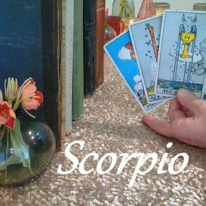 Scorpio Mid February 2024 ♏ The ONE You've Been Watching! #Tarot