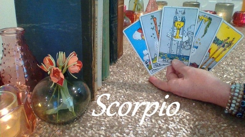 Scorpio Mid February 2024 ♏ The ONE You've Been Watching! #Tarot