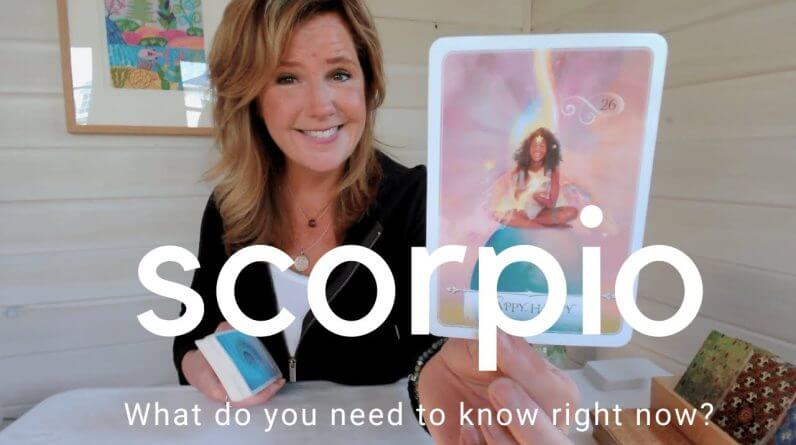 SCORPIO : Don't Waste Time ON The BREAD CRUMBER | TIMELESS Zodiac Tarot Reading 1 SCORPIO : Don't Waste Time ON The BREAD CRUMBER | TIMELESS Zodiac Tarot Reading