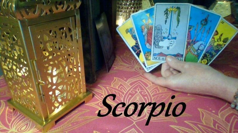 Scorpio โค๐๐ They Like What They See Scorpio! LOVE, LUST OR LOSS May 19-25#Tarot 1 Scorpio โค๐๐ They Like What They See Scorpio! LOVE, LUST OR LOSS May 19-25#Tarot