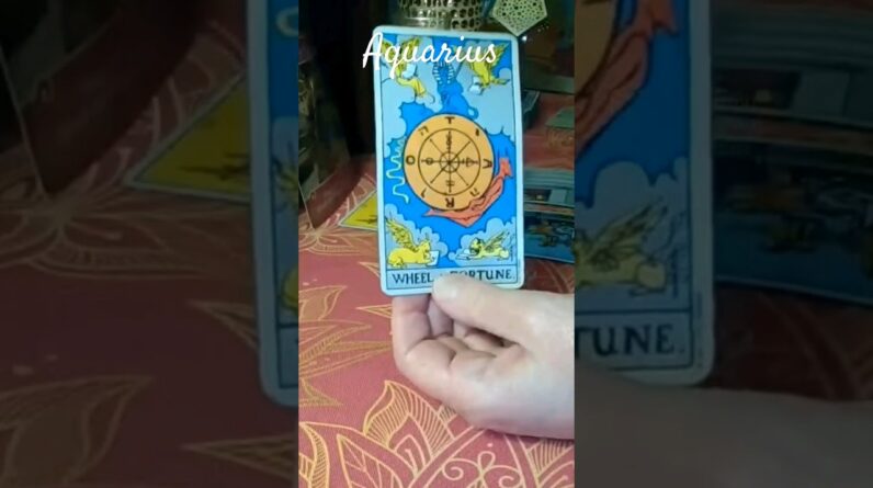 Aquarius ♥️ Future Love #Tarot #shorts 1 Aquarius ♥️ Future Love #Tarot #shorts