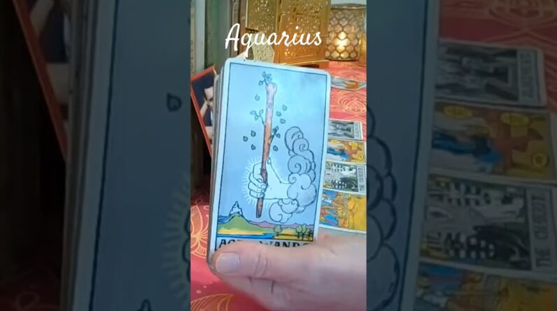 Aquarius ♥️  Hidden Truth  #Tarot