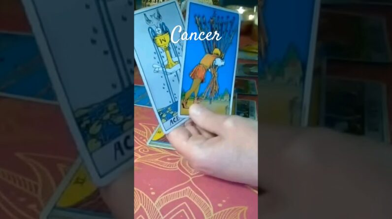 Cancer 💰 Career #tarot #shorts 1 Cancer 💰 Career #tarot #shorts