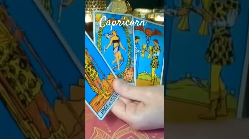 Capricorn 💰 Career #tarot 1 Capricorn 💰 Career #tarot