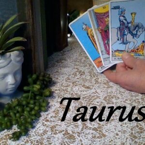 Taurus Hidden Truth ❤ This Is Why They Will Apologize To You Taurus! May 25-June 1 #tarot