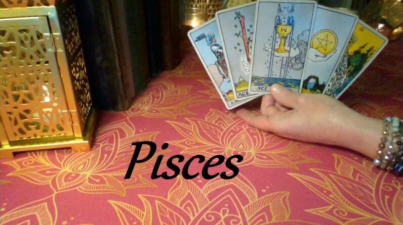 Pieces ❤ A Soulmate From A Past Life! FUTURE LOVE May 2024 #Tarot