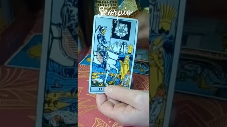 Scorpio ♥️  Future Love #Tarot #shorts