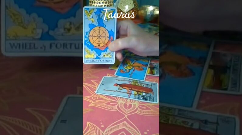 Taurus 💰 Career #tarot #shorts 1 Taurus 💰 Career #tarot #shorts