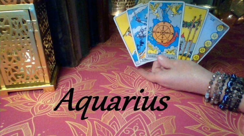 Aquarius ❤ IT'S FATE! The Moment Your Paths Finally Cross! FUTURE LOVE May 2024 #Tarot