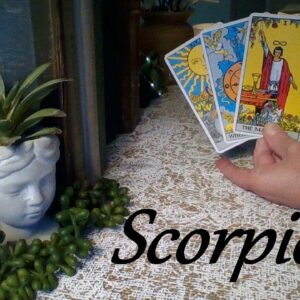 Scorpio Mid June 2024 ❤💲  SOMEONE SPECIAL! You Manifested Your Own Destiny Scorpio! #Tarot