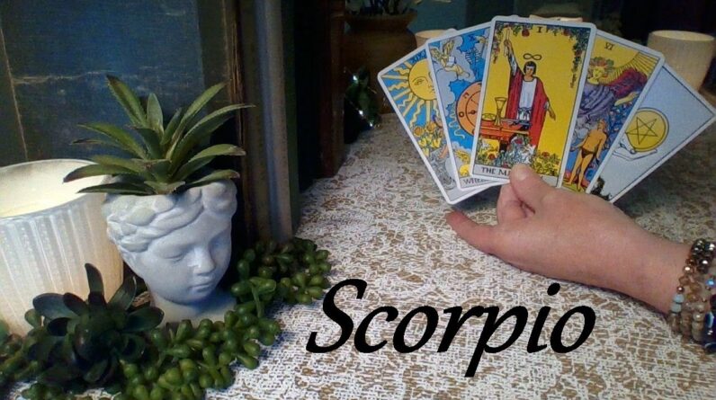 Scorpio Mid June 2024 ❤💲 SOMEONE SPECIAL! You Manifested Your Own Destiny Scorpio! #Tarot 1 Scorpio Mid June 2024 ❤💲 SOMEONE SPECIAL! You Manifested Your Own Destiny Scorpio! #Tarot