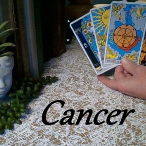 Cancer June 2024❤💲 CANCER GONE WILD! They Never Thought You Would Do This! Love & Career #Tarot