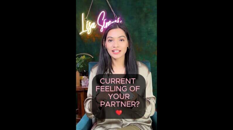 Current feeling of your Partner (LOVE TAROT READING ) Direct message from divine #lovetarotreading 1 Current feeling of your Partner (LOVE TAROT READING ) Direct message from divine #lovetarotreading