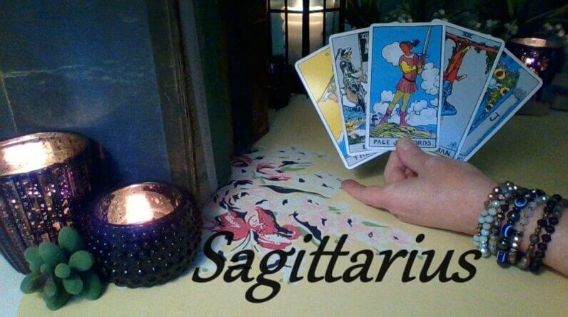 Sagittarius August 2024 ❤️ The ONE You Like To Watch SOULMATE READING #Tarot 1 Sagittarius August 2024 ❤️ The ONE You Like To Watch SOULMATE READING #Tarot