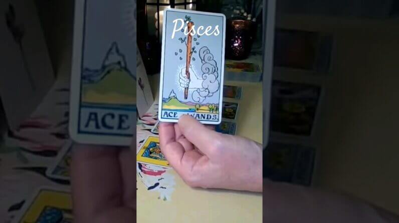 Pisces ♥️ The Secrets They Keep #tarot 1 Pisces ♥️ The Secrets They Keep #tarot