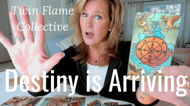 Twin Flame Collective : BOTH DM & DF Enter The Karmic PURGE Phase 1 Twin Flame Collective : BOTH DM & DF Enter The Karmic PURGE Phase