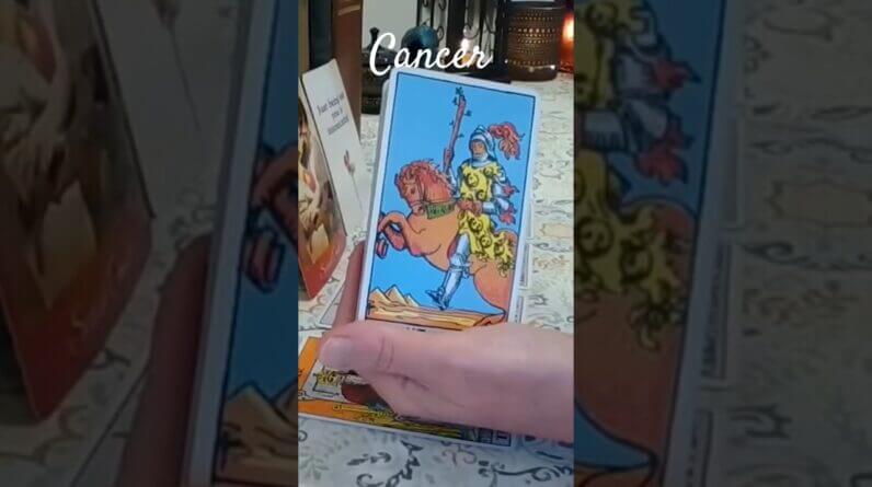 Cancer ♥️ The Secrets They Keep #tarot 1 Cancer ♥️ The Secrets They Keep #tarot