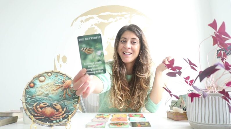CANCER ❤️ 'Evolving Like A BUTTERFLY, HUGE REBIRTH!!' November 2024 Tarot Reading 1 CANCER ❤️ 'Evolving Like A BUTTERFLY, HUGE REBIRTH!!' November 2024 Tarot Reading