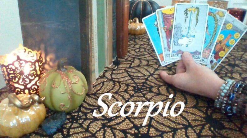Scorpio โค๐๐ This Will Be The Love Of Your Life Scorpio LOVE, LUST OR LOSS October 6-12 1 Scorpio โค๐๐ This Will Be The Love Of Your Life Scorpio LOVE, LUST OR LOSS October 6-12