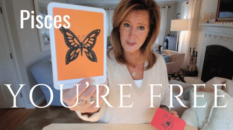 PISCES : Unlocking Your Gilded Cage | Mid November 2024 Zodiac Tarot Reading 1 PISCES : Unlocking Your Gilded Cage | Mid November 2024 Zodiac Tarot Reading