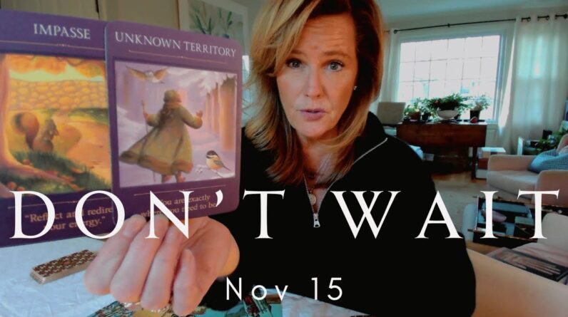 Your Daily Tarot Reading : Choosing Your NEW Timeline - Don't WAIT | Spiritual Path Guidance