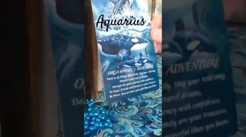 Aquarius ๐ซ Spirit Animal Message 2025 #Aquarius #tarot 1 Aquarius ๐ซ Spirit Animal Message 2025 #Aquarius #tarot