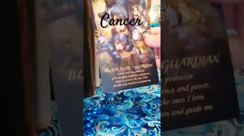 Cancer π« Spirit Animal Message 2025 #Cancer #tarot 1 Cancer π« Spirit Animal Message 2025 #Cancer #tarot