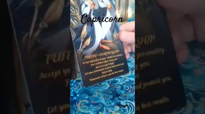 Capricorn 💫 Spirit Animal Message 2025 #Capricorn #tarot 1 Capricorn 💫 Spirit Animal Message 2025 #Capricorn #tarot
