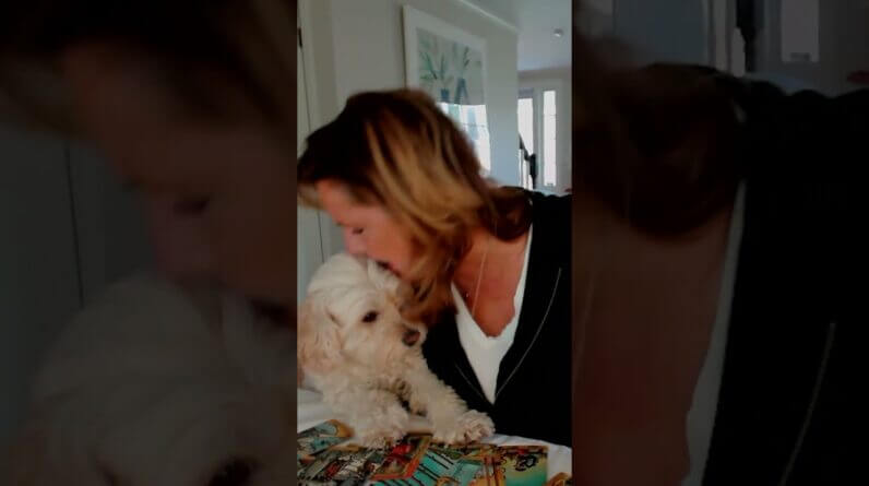 Charlie Is NOT An Aquarius #outtakes #charlieandmaiseyshow #dogs #shorts 1 Charlie Is NOT An Aquarius #outtakes #charlieandmaiseyshow #dogs #shorts