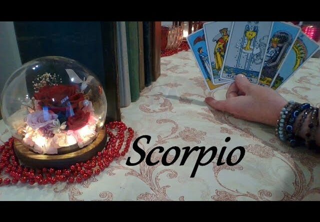 Scorpio February 2025 ❤💲 SOUL SHAKING! Your Perfect Partner LOVE & CAREER #Scorpio 1 Scorpio February 2025 ❤💲 SOUL SHAKING! Your Perfect Partner LOVE & CAREER #Scorpio