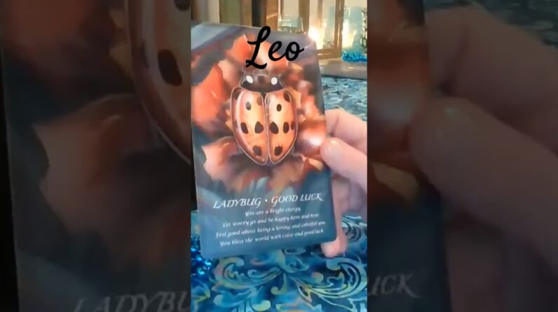 Leo 💫 Spirit Animal Message 2025 #Leo #tarot 1 Leo 💫 Spirit Animal Message 2025 #Leo #tarot