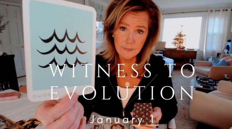 Your Daily Tarot Reading : Witnessing The Evolution | Spiritual Path Guidance 1 Your Daily Tarot Reading : Witnessing The Evolution | Spiritual Path Guidance