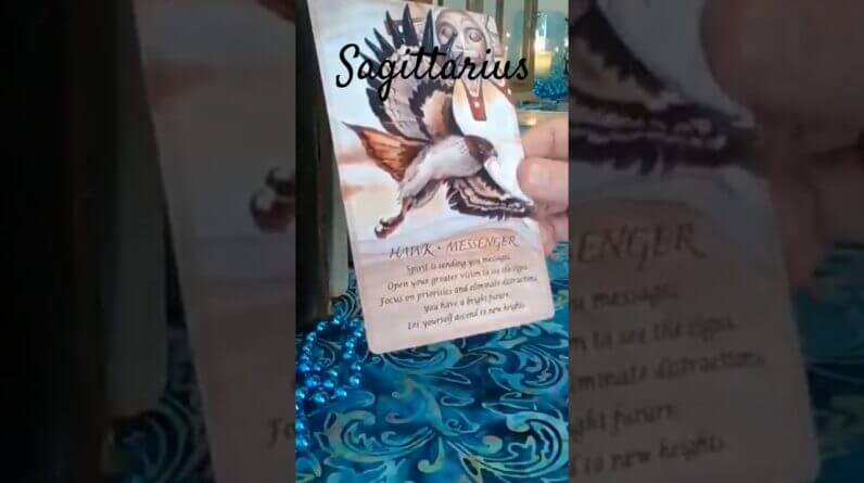 Sagittarius 💫 Spirit Animal Message 2025 #Sagittarius #tarot 1 Sagittarius 💫 Spirit Animal Message 2025 #Sagittarius #tarot