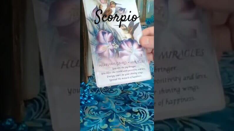 Scorpio 💫 Spirit Animal Message 2025 #Scorpio #tarot 1 Scorpio 💫 Spirit Animal Message 2025 #Scorpio #tarot