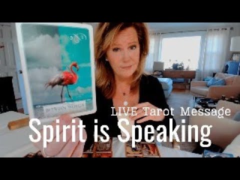 LIVE Tarot - Daily Morning Message: Spirit is Speaking to Us...Time to Listen 1 LIVE Tarot - Daily Morning Message: Spirit is Speaking to Us...Time to Listen