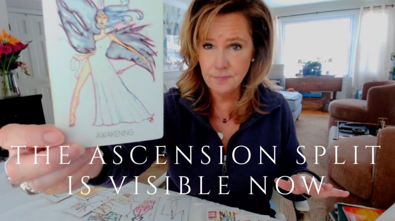 Your Daily Tarot Reading : The Ascension SPLIT Is Visible Now | Spiritual Path Guidance