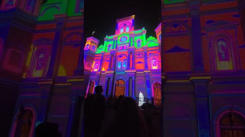 Mardi Gras 2025 💜💛💚 #mardigras2025 #mardigras 1 Mardi Gras 2025 💜💛💚 #mardigras2025 #mardigras