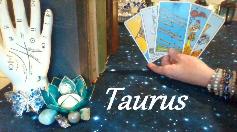 Taurus May 2025 ❤ A Lot Of Deep, Late Night Conversations FUTURE LOVE #Taurus