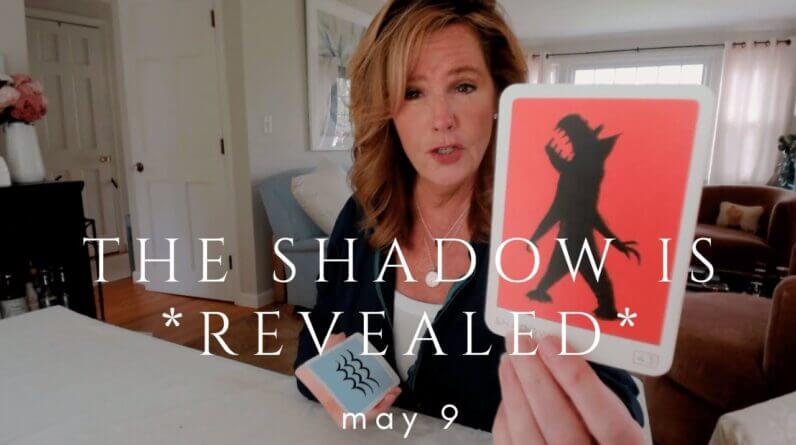 Your Daily Tarot Reading : Facing The Shadow - The Shadow Steps Into The LIGHT