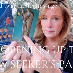 Twin Flame Collective : DF, No More Waiting - DM Becoming A SEEKER