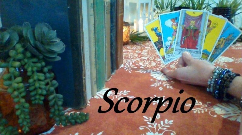 Scorpio ❤💲 You Will Be Released From Pain LOVE & CAREER End Of August 2025 #Scorpio #Tarot 1 Scorpio ❤💲 You Will Be Released From Pain LOVE & CAREER End Of August 2025 #Scorpio #Tarot