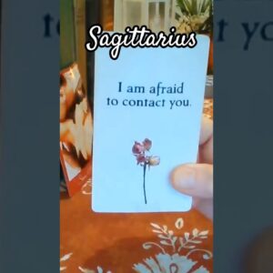 Sagittarius ♥️ Bad Decisions Ruined Everything #Sagittarius #Tarot
