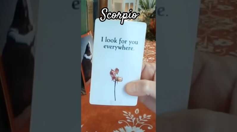 Scorpio ♥️ Bothered By The Silence #Scorpio #Tarot 1 Scorpio ♥️ Bothered By The Silence #Scorpio #Tarot