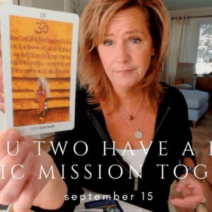 Your Daily Tarot Reading : Catalyst Soulmate Brings You Back To Your MISSION