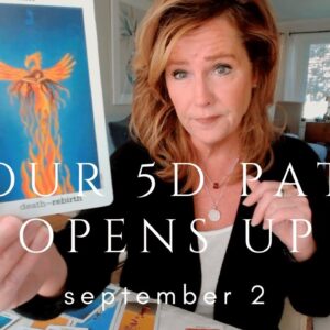 Your Daily Tarot Reading : The Path To Your Next BIG SHIFT | Spiritual Path Guidance